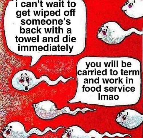 food-service.jpeg